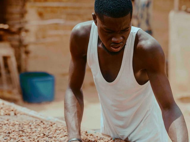 Farmer spreading cocoa beans to dry in the sun in rural Ghana