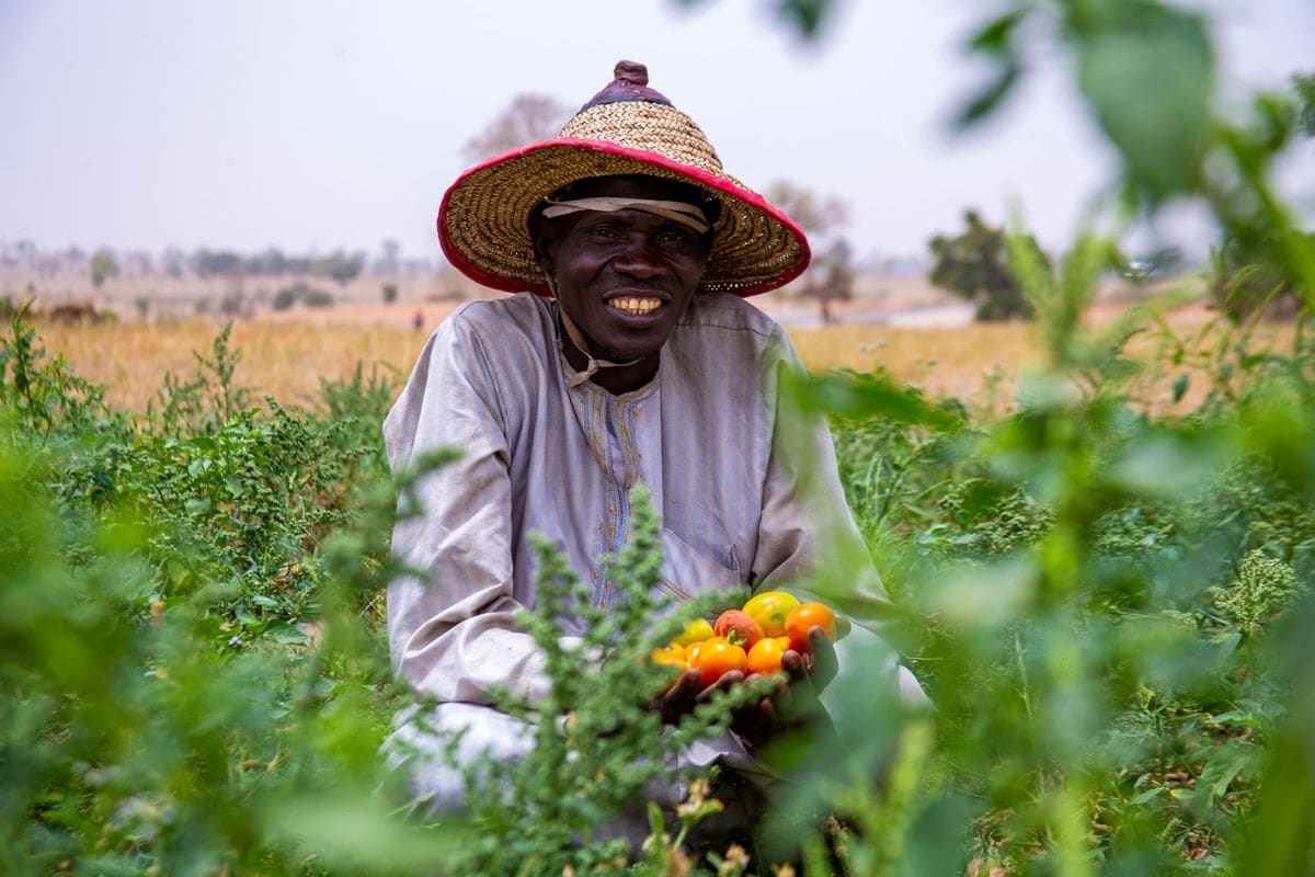 Smiling farmer holding freshly harvested produce in a green field in Kaduna, Nigeria