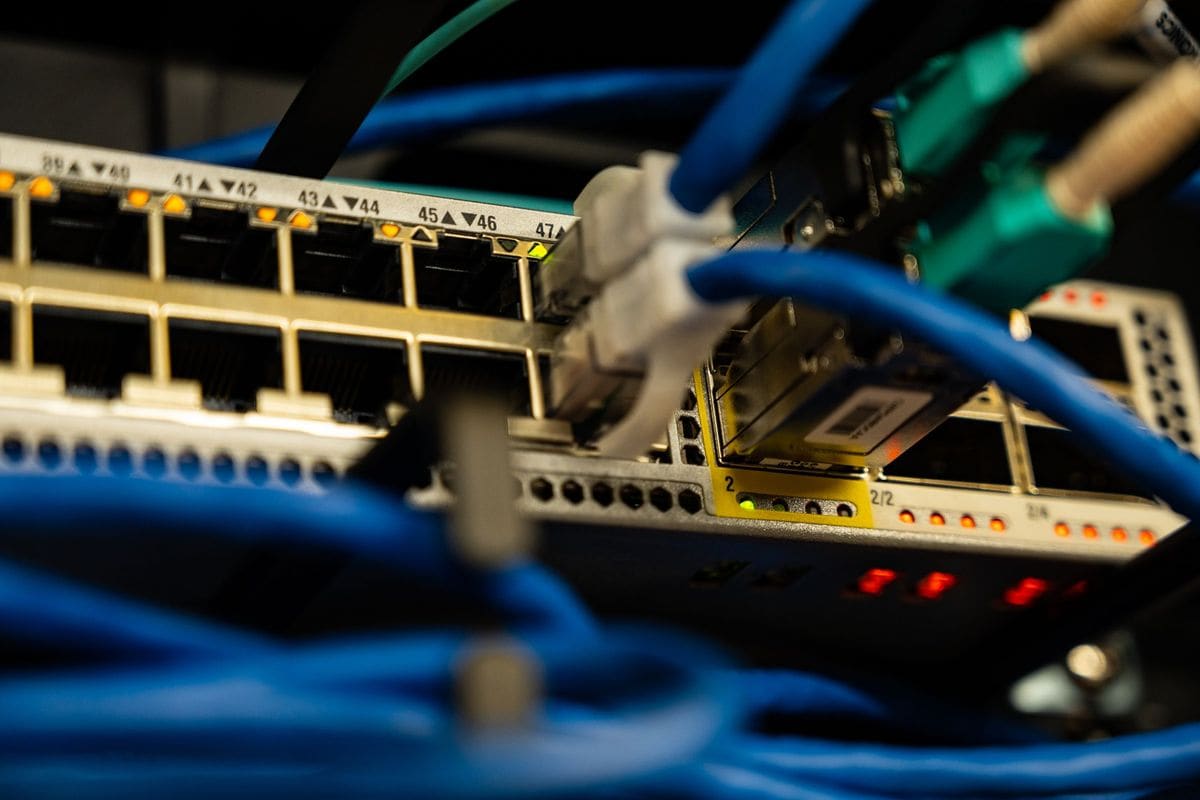 Close-up of Ethernet cables plugged into a network switch