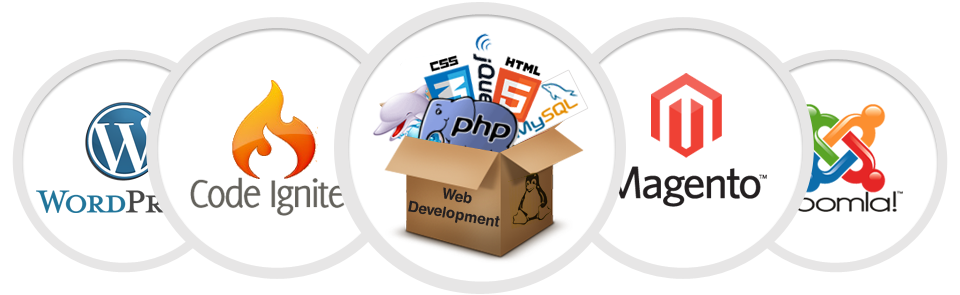 service cat 333412082 web development